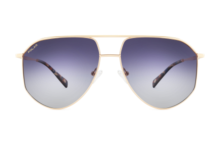 картинка Солнцезащитные очки Polar model Gold 309 col. 02/F PGOLD30902F — Мои Очки