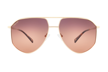 картинка Солнцезащитные очки Polar model Gold 309 col. 02/R PGOLD30902R — Мои Очки