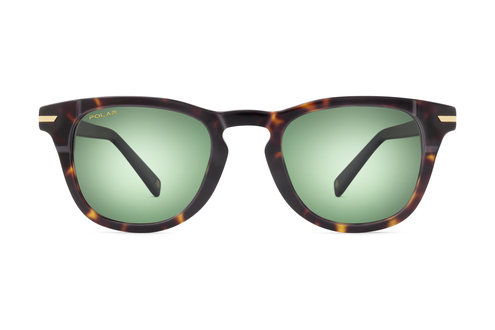 Солнцезащитные очки Polar  Gold Pegaso col. 428 Polarize PGPEG428